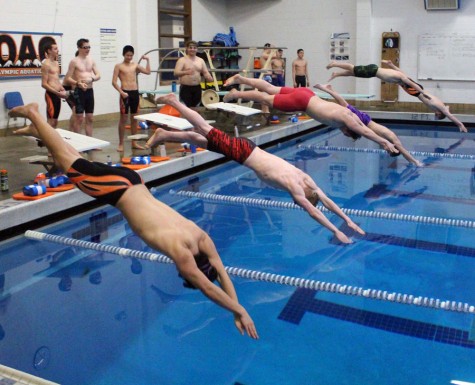 Swim squad took their last dive as members of the swim team.