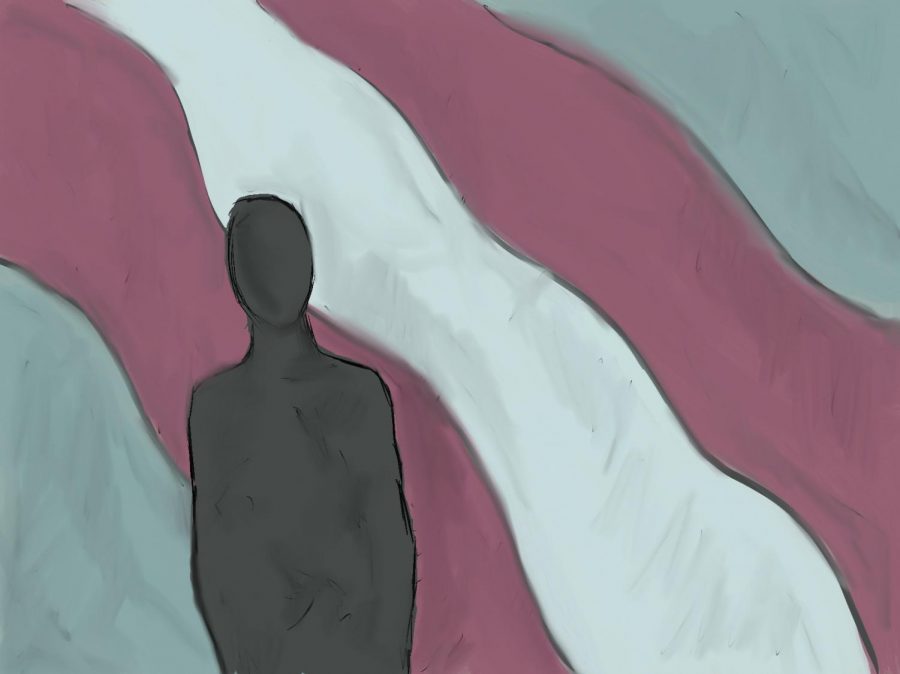 An illustration of a silhouette of a person standing in front of the transgender pride flag.