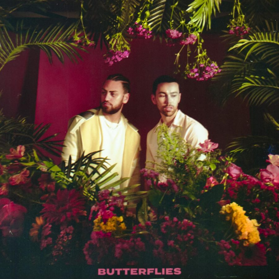 MAX and Ali Gatie in the picture for the song Butterflies