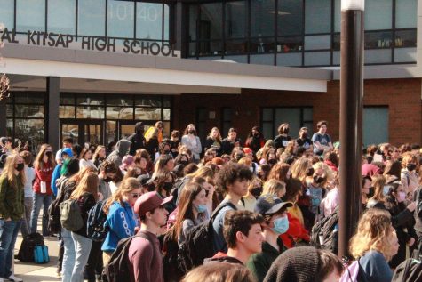 A sea of students participating in the walkout. 