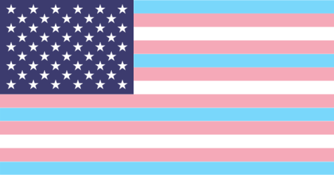 An edited variation of the American flag that combines it with the trans flag. (Picture has been cropped to fit)