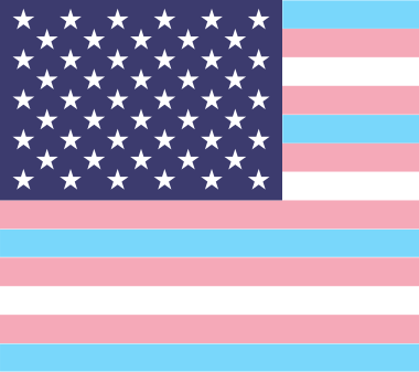 An edited variation of the American flag that combines it with the trans flag. (Picture has been cropped to fit)