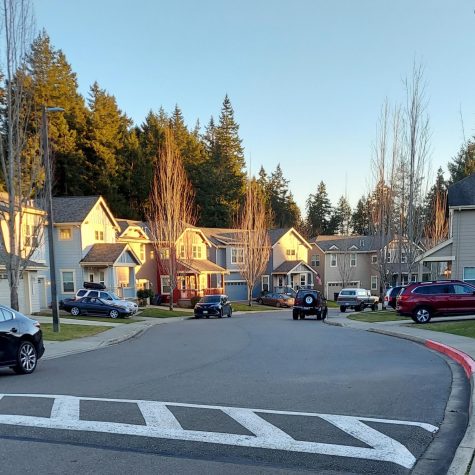 A neighborhood on Naval Base Kitsap (Bangor).