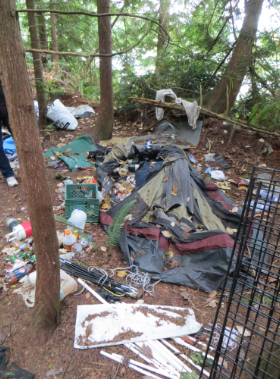 Homeless Camp behind Fred Meyer in Bremerton