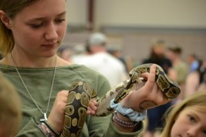 A fearless guest embraces beauty of scaly reptiles at the local expo.
