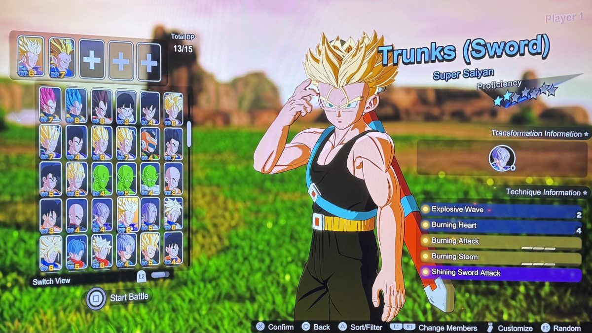 Online DP battle character select section 