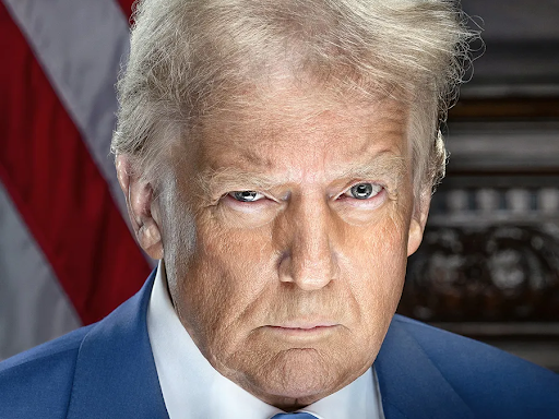 		President Donald J. Trump’s official presidential photo. (provided by the Trump Administration)



