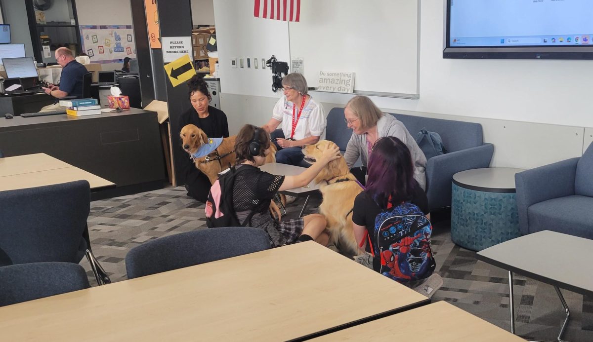 Students and staff visit with two therapy dogs in the library during first lunch.