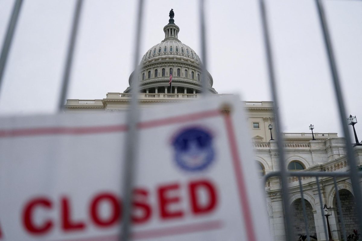 United States Capital Building in Washington D.C. (Reuters/Nathan Howard)