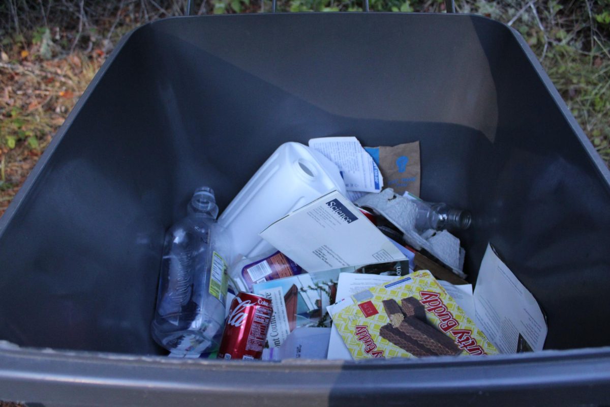 contents of a recycling bin