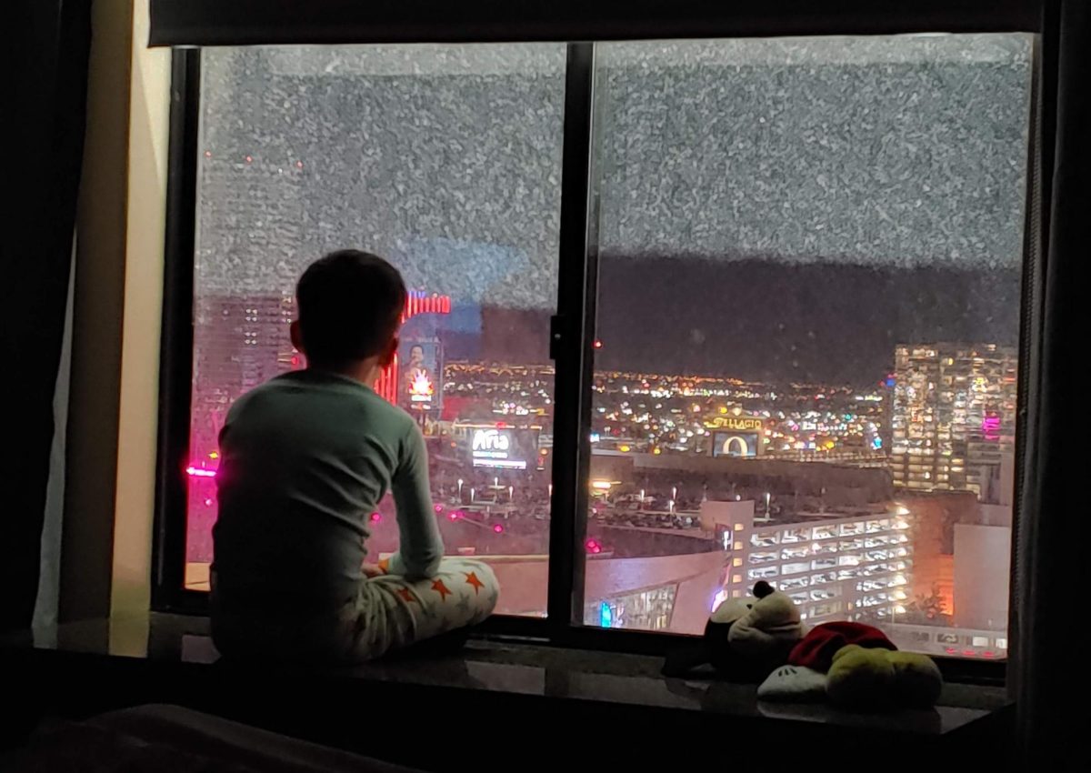 Stacey Longmate's son looks over the city through the hospital window. (Provided by Stacey Longmate)